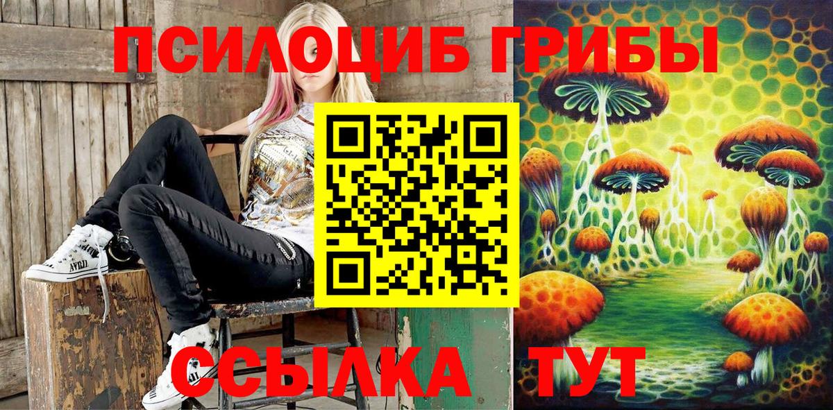 Галлюциногенные грибы Psilocybine cubensis Нижнекамск