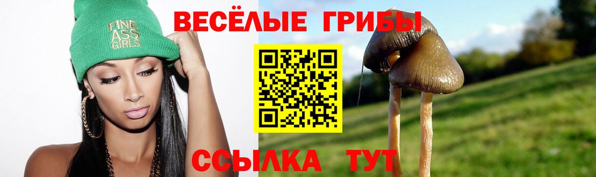 Псилоцибиновые грибы Psilocybine cubensis  Галлюциногенные грибы Psilocybine cubensis  Вход с VPN  Нижнекамск 
